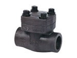 DIN forged check valve