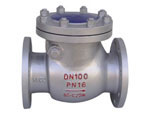 DIN standard steel check valve